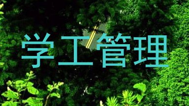 学工管理