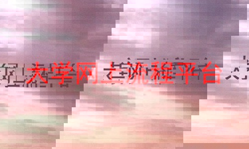 大学网上流程平台