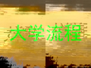 大学流程