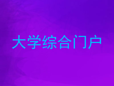 大学综合门户