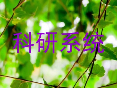 科研系统
