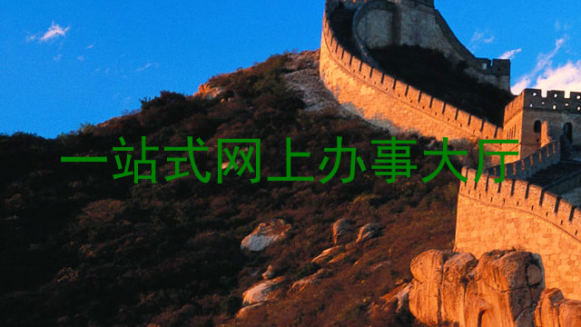 一站式网上办事大厅