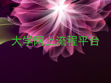 大学网上流程平台