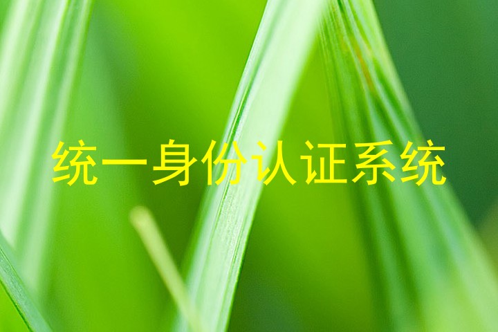 统一身份认证系统