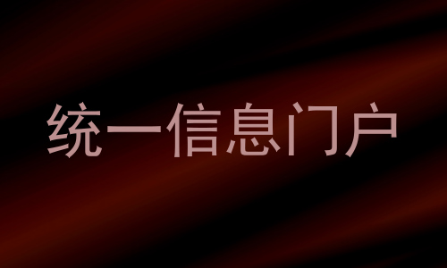 统一信息门户