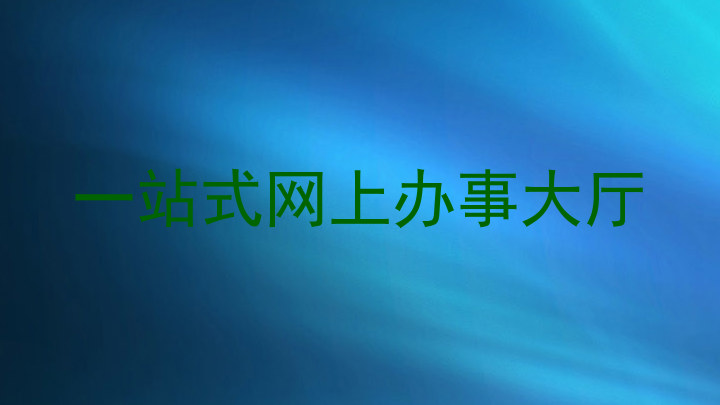 一站式网上办事大厅