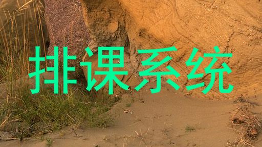 排课系统