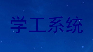 学工系统