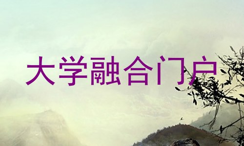 大学融合门户