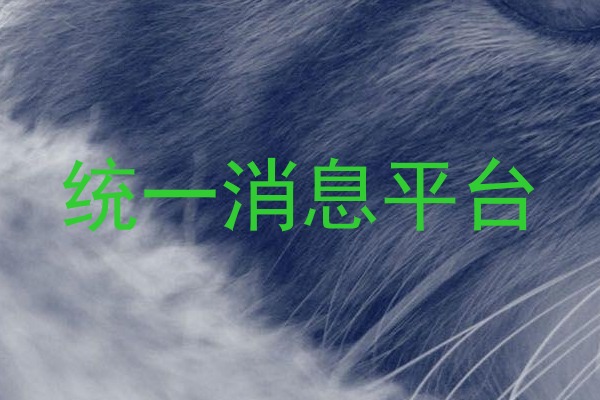 统一消息平台