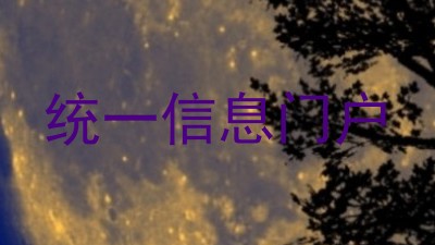 统一信息门户