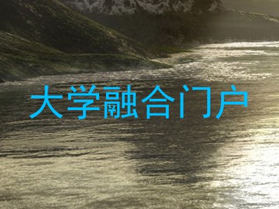 大学融合门户