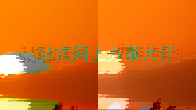 一站式网上办事大厅