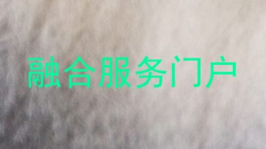 融合服务门户
