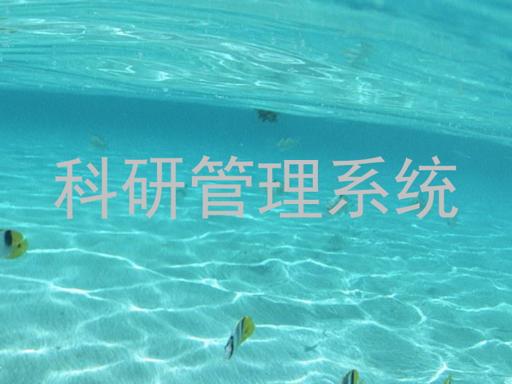 科研管理系统