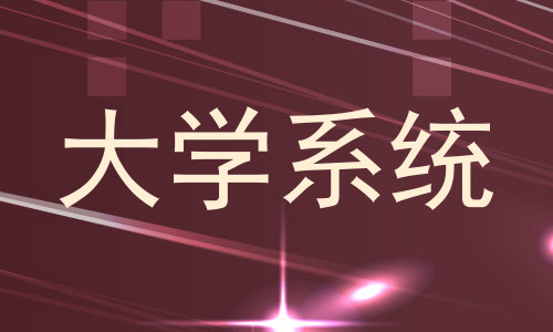 大学系统