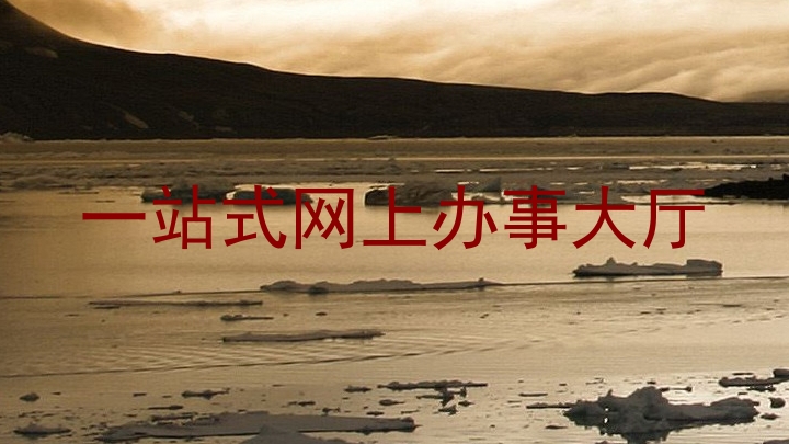 一站式网上办事大厅