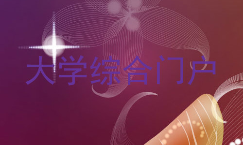 大学综合门户
