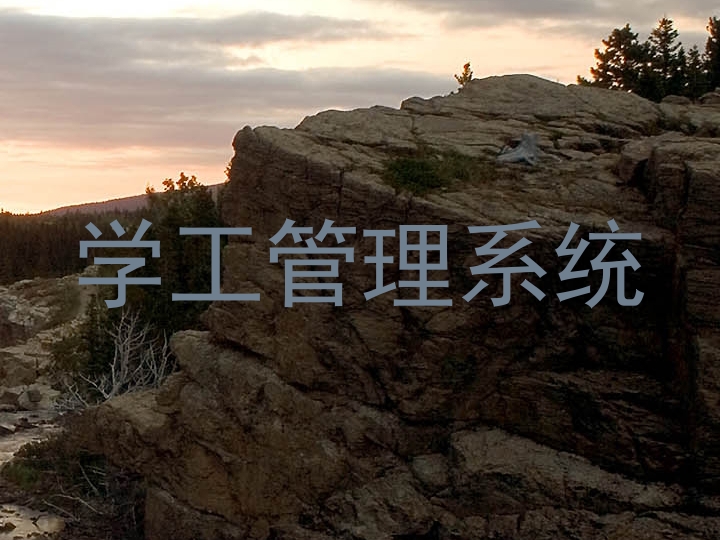 学工管理系统