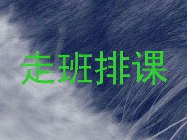 走班排课