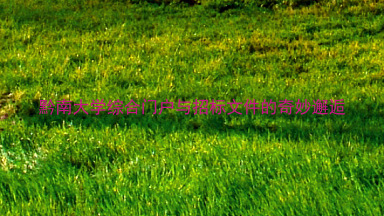 黔南大学综合门户与招标文件的奇妙邂逅