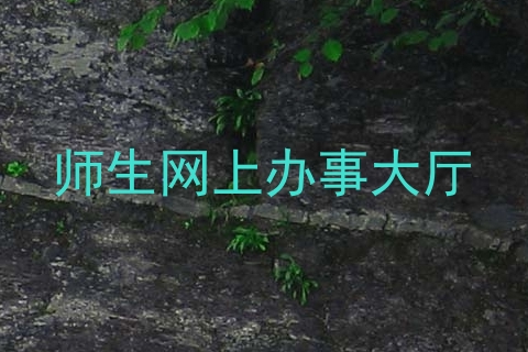 师生网上办事大厅