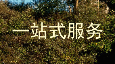 一站式服务