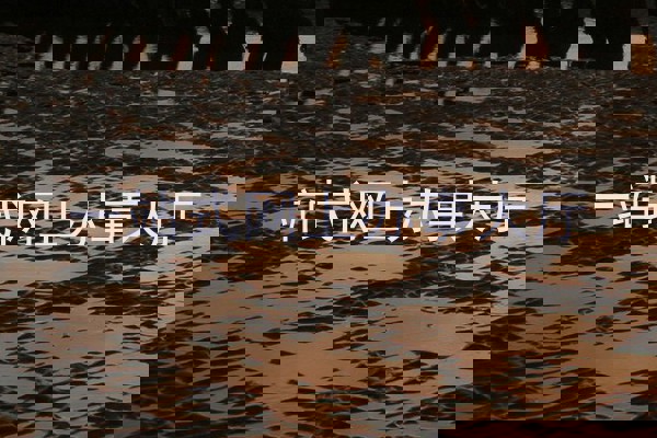 一站式网上办事大厅