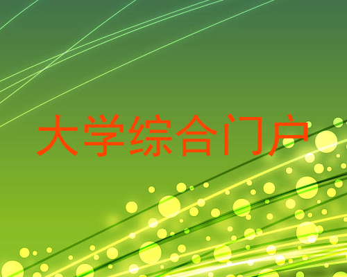 大学综合门户