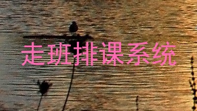走班排课系统