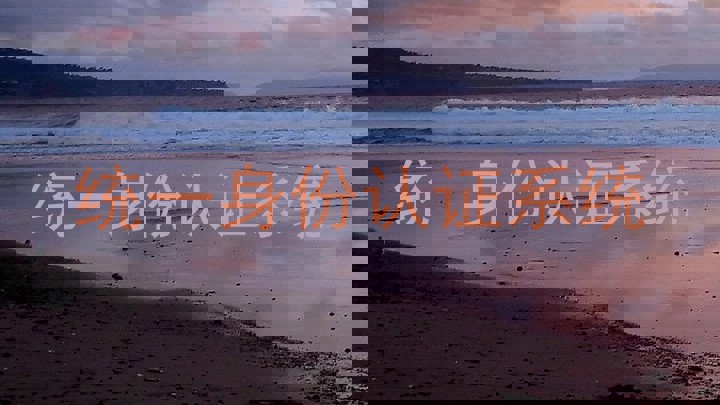 统一身份认证系统