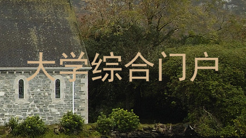 大学综合门户