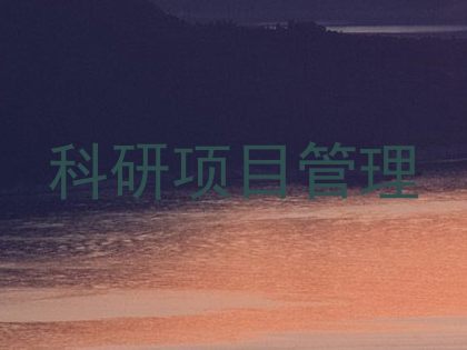 科研项目管理