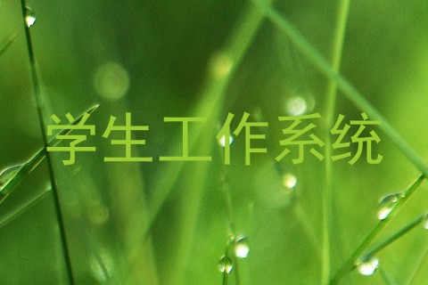 学生工作系统