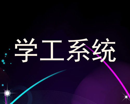 学工系统