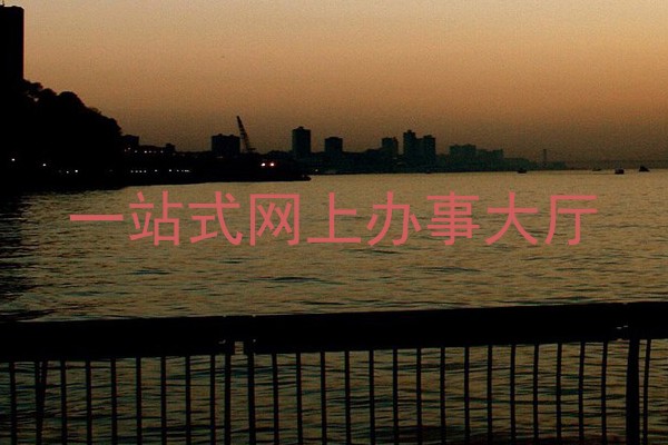 一站式网上办事大厅