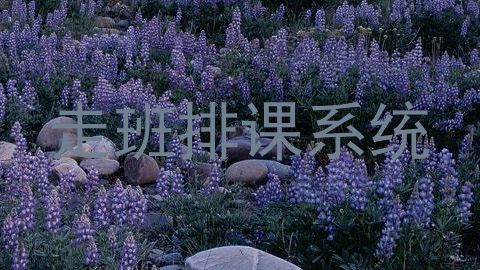走班排课系统