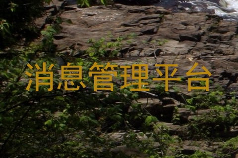 消息管理平台