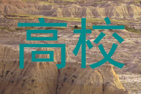 高校