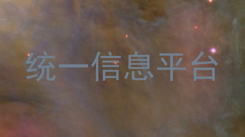 统一信息平台