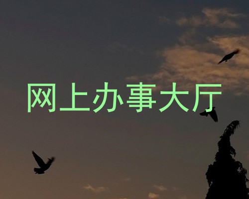 网上办事大厅