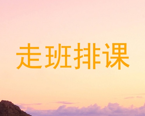 走班排课