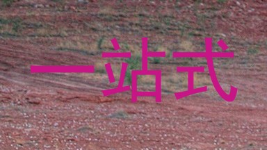 一站式