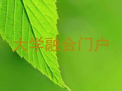 大学融合门户