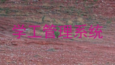 学工管理系统