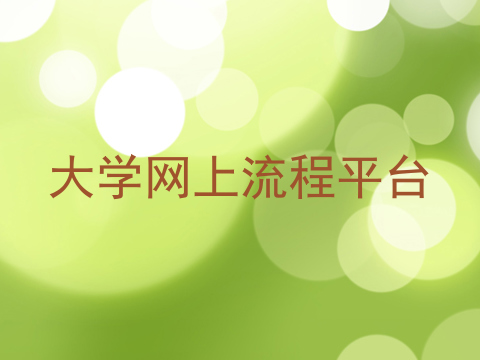 大学网上流程平台