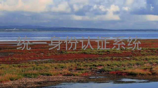 统一身份认证系统
