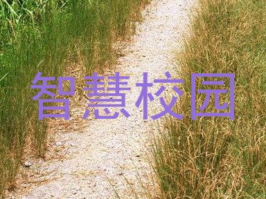 智慧校园