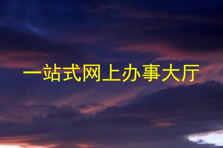 一站式网上办事大厅