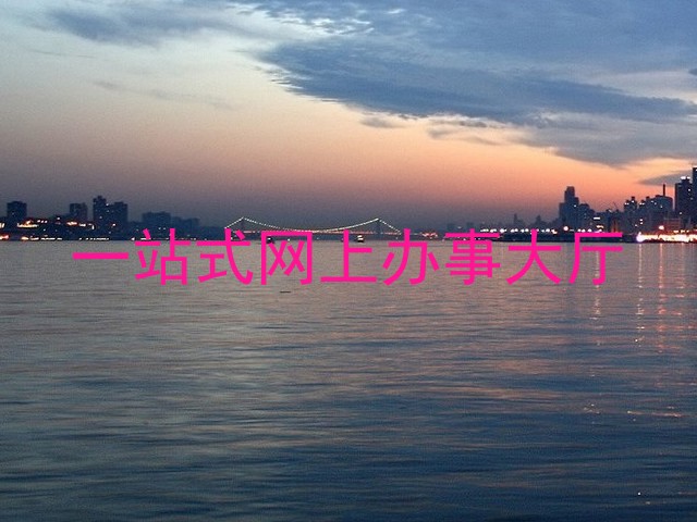 一站式网上办事大厅